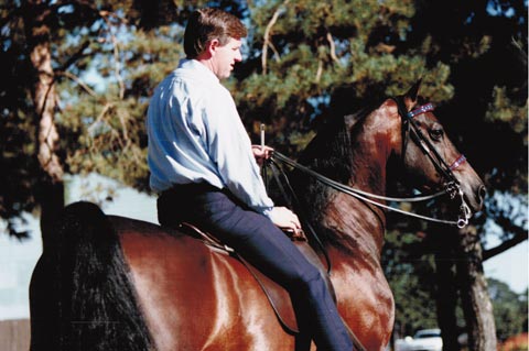 Arcuri Stables in Springfield, Oregon