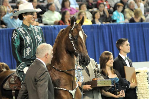 Arcuri Stables in Springfield, Oregon